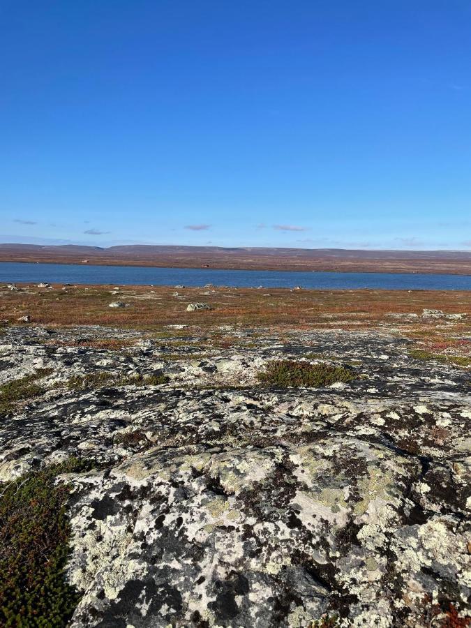 Ekkeroy Lodge - Arctic Living Vadso Exterior photo